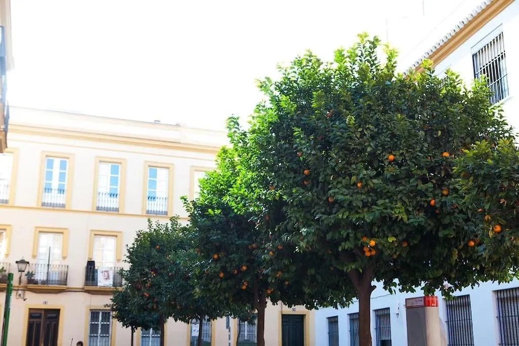 Atico Con Vistas Apartment Seville